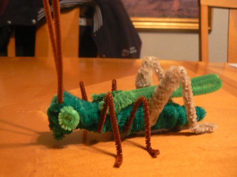 pipe cleaner grasshopper Craft Pipe Cleaner, Pipe Cleaner Animals, Pipe Cleaner Art, Insect Crafts, Diy Pipe, Pipe Cleaner Crafts, Project For Kids, Kids Imagination, Animal Crafts For Kids