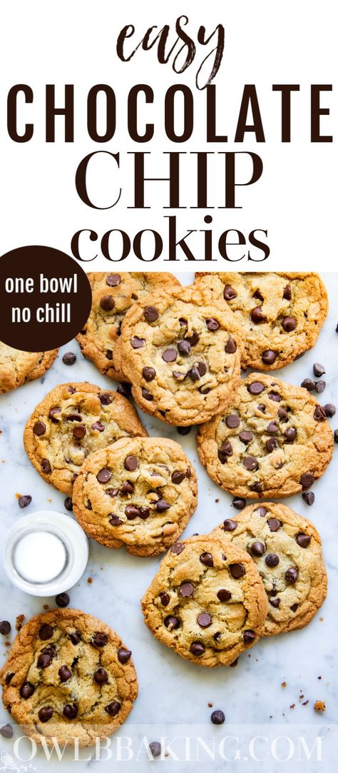 Easy Chocolate Chip Cookie, Simple Chocolate Chip Cookie Recipe, Quick Cookies, Amazing Cookies, Homemade Chocolate Chip Cookies, Chewy Cookies, Easy Chocolate Chip Cookies, Chocolate Chip Cookie Recipe, Chocolate Cookie Recipes