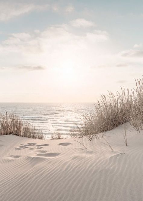 Relaxing Beach Aesthetic, Coastal Chic Aesthetic, Sand Color Wallpaper, Calming Nature Aesthetic, Beach Asthetics Photos, Calm Beach Aesthetic, Strand Aesthetic, White Beige Aesthetic, Soft Calm Aesthetic