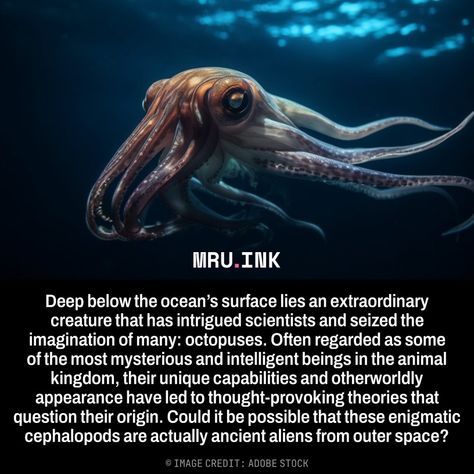 Deep below the ocean’s surface lies an extraordinary creature that has intrigued scientists and seized the imagination of many: octopuses. Often regarded as some of the most mysterious and intelligent beings in the animal kingdom, their unique capabilities and otherworldly appearance have led to thought-provoking theories that question their origin. Could it be possible that these enigmatic cephalopods are actually ancient aliens from outer space? Eye Structure, Alien Theories, Swimming In The Ocean, Mysteries Of The World, Creepy Facts, Space Images, Weird Creatures, Life Form, Ancient Aliens