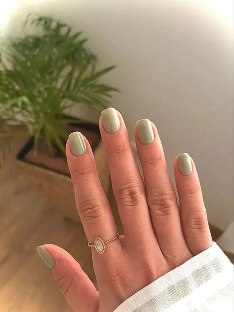 The Hottest Nail Trends for 2024 - Winky Pink Solid Colour Gel Nails Short, One Colour Nails Short, Short Nails Plain Simple, Gel Nails Light Green, Light Green Simple Nails, Basic Shellac Nails, Short Matcha Green Nails, Best Nails For Pale Skin, Simple Acrylic Nails Solid Colour