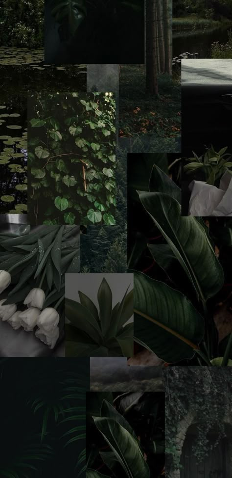 Dark Green Collage Wallpaper, Olive Green Wallpaper Aesthetic, Olive Green Aesthetic Wallpaper, Forest Green Aesthetic Wallpaper, Forest Green Wallpaper Aesthetic, Dark Green Wallpaper Iphone, Hunter Green Wallpaper, Olive Green Aesthetic, Paige Core