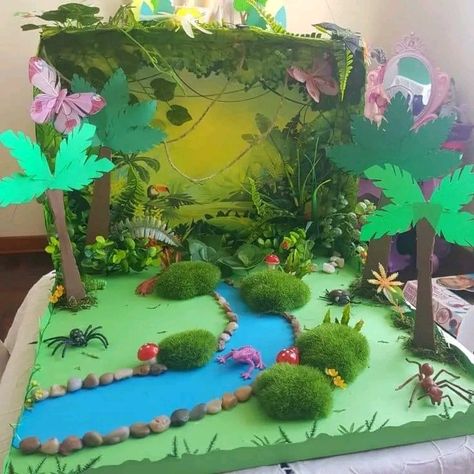 Kids Habitat Project Ideas, Biodiversity Model Ideas, Rainforest Ecosystem Project Ideas, Rainforest Projects For Kids, Rainforest Diorama Ideas, Ecosystem Projects For Kids, Rainforest Diaroma, Jungle Projects For Kids, Habitats Projects For Kids