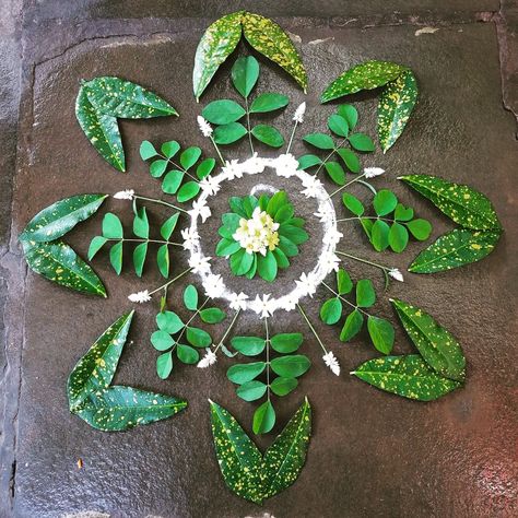 Rangoli With Leaves, Quick Saves