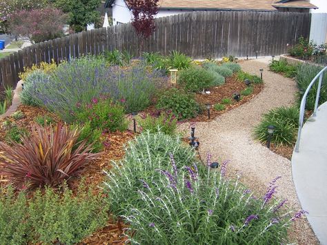 The 2 Minute Gardener: Photo - Decomposed Granite Pathway (DG) Granite Pathway, Drought Tolerant Landscape Design, Decomposed Granite Patio, Drought Resistant Landscaping, Crushed Granite, Decomposed Granite, Walkway Landscaping, Drought Tolerant Garden, Drought Tolerant Landscape