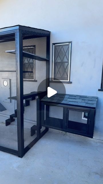 Exterior Cat Door, Cat Habitat Outdoor, Catio Shelving Ideas, How To Build A Catio For Cats, Cat House Ideas Outdoor, Diy Catios For Cats Window, Outdoor Cat Litter Box Ideas, Cat Rooms Indoor Ideas, Catio Ideas Cat Diy