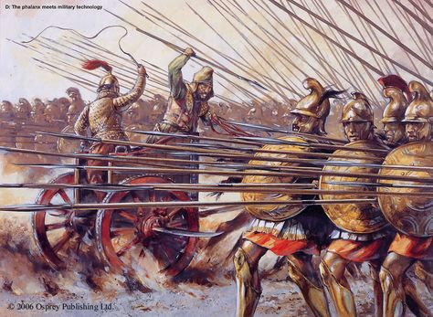 Battle Of Gaugamela, Ancient Macedonia, Greco Persian Wars, Warriors Illustration, Historical Warriors, Greek Warrior, Ancient Warfare, Classical Antiquity, Richard Iii