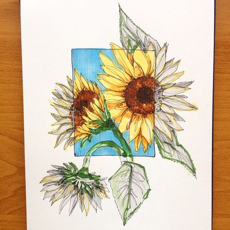 Sunflowers#art #drawing #sketch #sketchbook #flowers #floral #marker #copic #promarker #pencil #liner #fabercastell #sunflower #color Sketchbook Flowers, Sunflowers Art, Sunflower Drawing, Pencil Drawing Tutorials, Art Drawing Sketch, Drawing Simple, Flower Sketches, Sunflower Art, Plant Drawing