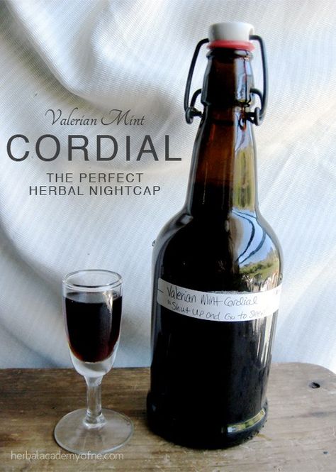 Herbal Cordial Recipes, Herbal Academy, Natural Things, Herbal Tinctures, Herbal Recipes, Valerian Root, Herbal Apothecary, Herbal Healing, Holistic Remedies