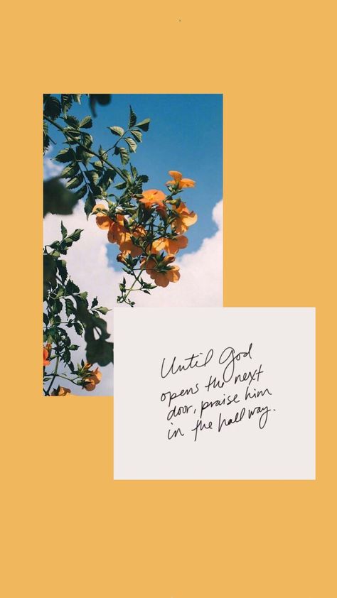 Until God Opens The Next Door Praise Him, Until God Opens The Next Door Hallways, Praise Him In The Hallway, Plan Wallpaper, Iphone Wallpaper Yellow, Christian Iphone Wallpaper, Worship Quotes, Happiness Is A Choice, Bible Verse Background