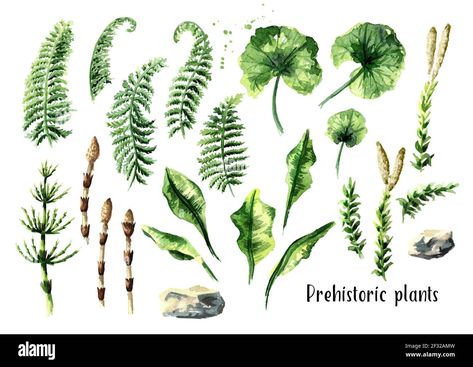 Prehistoric Plants, Dinosaur Plant, Plant Illustrations, Scientific Drawing, Dinosaur Tattoos, Plant Tattoo, Plant Images, Plant Drawing, Hand Drawn Illustration