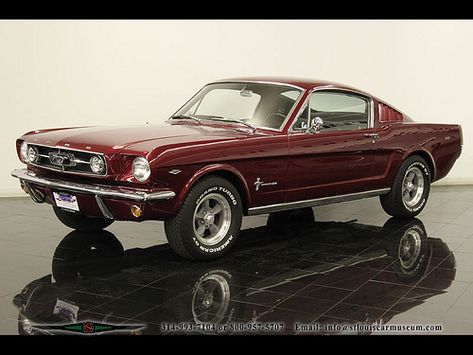 Classic Mustangs, Ford Mustang 1967, 1965 Ford Mustang, Ford Mustang Fastback, Classic Mustang, Mustang Convertible, American Racing, Custom Muscle Cars, Mustang Fastback