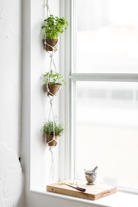 Hanging Herb Garden, Hanging Herbs, نباتات منزلية, Hanging Plants Indoor, Island Decor, Urban Gardening, Herbs Indoors, Small Room Design, Macrame Hanging