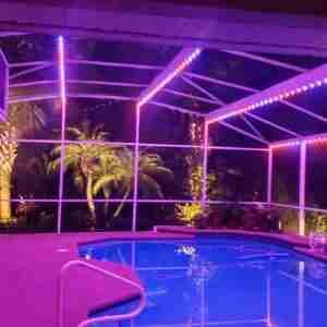 Pool Cage Lighting Ideas, Pool Cage Decor, Lanai Lighting Ideas Florida, Screen Enclosure Lighting, Pool Cage Lighting, Pool Enclosure Lighting, Lights For Pool, Lanai Lighting, Birdcage Light