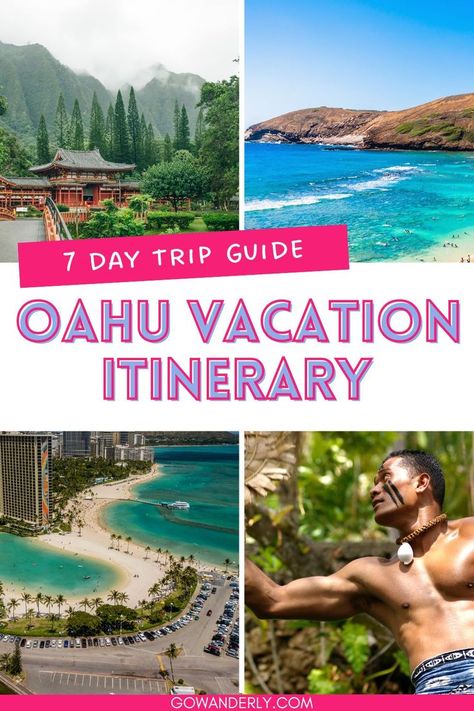 Explore the best things to do in Oahu with our detailed guide. Get essential Hawaii vacation tips and discover exciting Hawaii activities to include in your Hawaii itinerary for the ultimate Oahu vacation. Oahu Hawaii Activities, Oahu Itinerary, Waimea Falls, Hawaii Trip Planning, Hawaii Vacation Tips, Things To Do In Oahu, Hawaii Activities, Hawaii Itinerary, Kailua Beach