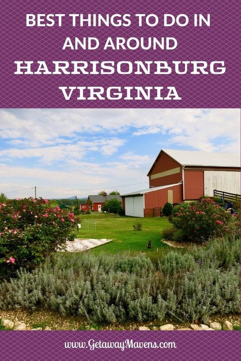 2023 Vacation, Harrisonburg Virginia, James Madison University, Best Weekend Getaways, Virginia Travel, Virginia Is For Lovers, Life List, Shenandoah Valley, Shenandoah National Park