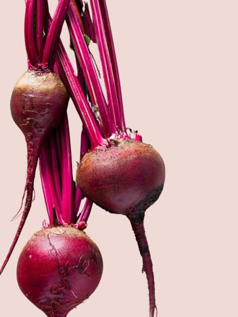 Beet Aesthetic, Healthy Food Design, Beetroot Aesthetic, Beets Photography, Beetroot Photography Food Styling, Food Photography Vegetables, Beetroot Hummus Photography, Beetroot Benefits, Fire Cider Recipe