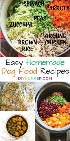 Dog Food Recipe, Diy Dog Food, Make Dog Food, Healthy And Fit, Food Dog, Healthy Dog Food Recipes, Homemade Recipe, Puppy Food, Dog Recipes