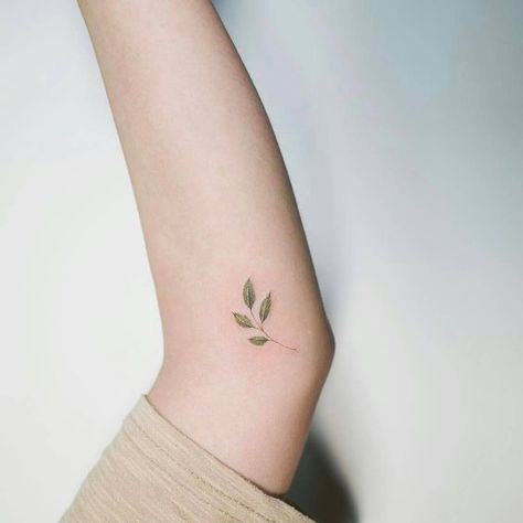 Simple leaf tattoo | Artist @soltattoo Soul, South Korea Small Tattoo Arm, Leaf Tattoo, Tattoo Forearm, Tattoo Arm, 문신 디자인, Nature Tattoos, Little Tattoos, Trendy Tattoos, Beauty Tattoos