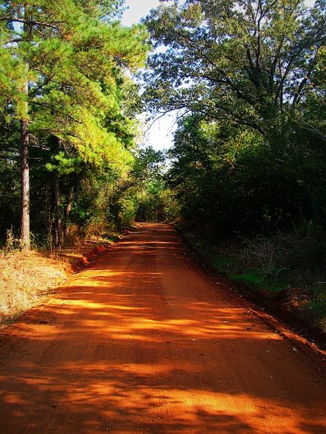 [Red dirt road] "Before us the narrow, sun-splotched road wound like a lazy red serpent" / Get sensory, hands-on activity ideas for ROLL OF THUNDER, HEAR MY CRY by Mildred D. Taylor and 40+ more great books at http://www.litwitsworkshops.com/free-resources/ Roll Of Thunder Hear My Cry, Sensory Hands, Red Serpent, Visit Mississippi, Road Painting, Apostles Creed, Dirt Roads, Road Photography, Long Way Home