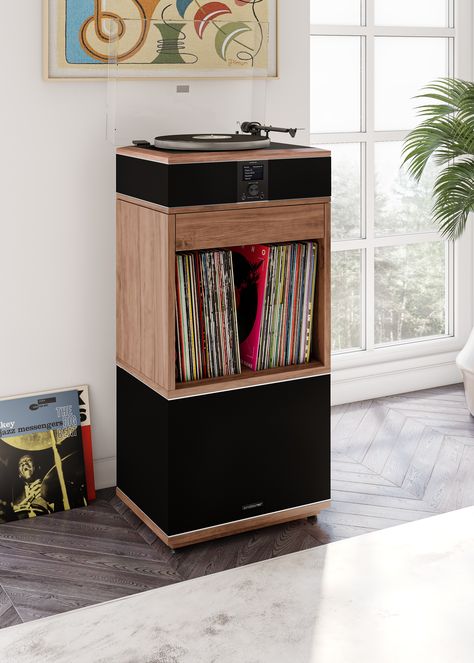 Audio Wallpaper, Modern Record Console, Record Player Setup, Record Console, Record Rack, Turntable Stand, Stereo Cabinet, Powered Subwoofer, Vinyl Record Player