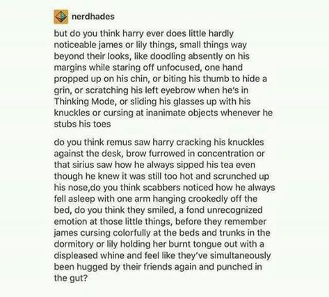 Finally a Marauders headcanon that includes Peter! Harry Potter Feels, Potter Facts, Harry Potter Headcannons, Harry James Potter, Harry Potter Facts, Harry Potter Jokes, Harry Potter Marauders, Harry Potter Love, Harry Potter Quotes