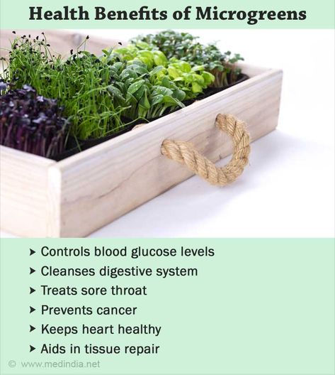 Health Benefits of Microgreens Microgreens Benefits, Growing Microgreens, Plant Based Whole Foods, Reducing Inflammation, Complex Carbohydrates, Nutritional Deficiencies, Functional Food, Blood Glucose Levels, Glucose Levels