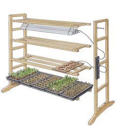 An easy you build it way cheaper multi-tiered seed-starting rack helps to fill your garden with blooms. The author is able to start more than 600 plants at once.make one of these. Pruning Hydrangeas, Indoor Vegetables, Indoor Vegetable Gardening, Greenhouse Plans, Fine Gardening, Hydroponic Gardening, Mosaic Garden, Veggie Garden, Seed Starting