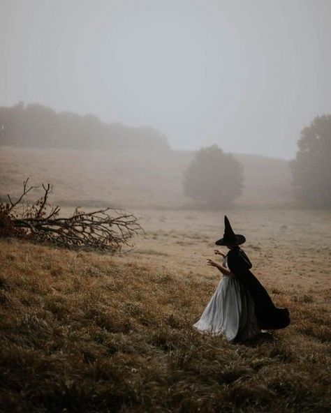 Forest Witch Aesthetic, Witch Photography, Halloween Facts, Dark Witch, Vintage Halloween Costume, Grimm Fairy Tales, Season Of The Witch, Witch Aesthetic, Witchy Woman