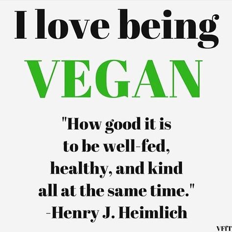 #VHTV #vegan #vegangains #youtube #youtubechannel #rawvegan #veganathlete #vegansofig #health #fitness #nutrition #gym #lifestyle #crueltyfree #dairyfree #plantbased #personaltrainer #happiness #whatveganseat #govegan #veganfood #drsebi #alkaline #veganbodybuilder #bodybuilding Vegan Athlete, Reasons To Go Vegan, Vegan Facts, Being Vegan, Vegan Memes, Vegan Quotes, Why Vegan, Vegan Inspiration, Vegan Living