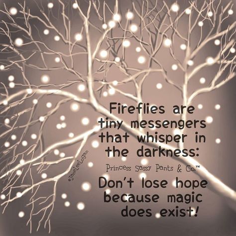 Fireflies Firefly Quotes, Magical Quotes, Dont Lose Hope, Magic Quotes, Sassy Pants, Believe In Magic, On My Mind, Spirit Guides, Firefly