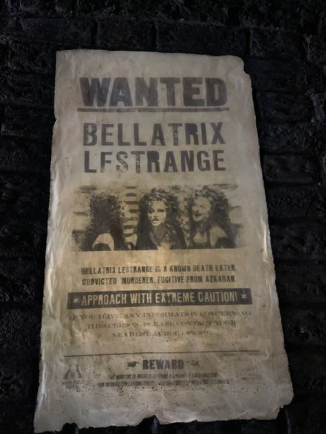 bellatrix lestrange wanted poster|harry potter aesthetic| Black Family Aesthetic Harry Potter, Bellatrix Aesthetic, Bellatrix Black Aesthetic, Slytherin Collage, Lestrange Aesthetic, Bellatrix Lestrange Aesthetic, Harry Potter Villains, Marauders Characters, Harry Potter Lines