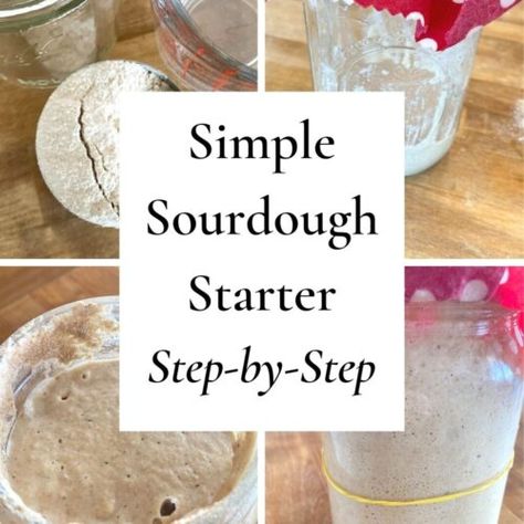 Sourdough Bread Starter, Dough Starter, Homemade Sourdough Bread, Bread Starter, Sourdough Starter Recipe, Free Lifestyle, Sourdough Baking, Sourdough Bread Recipe, Starters Recipes