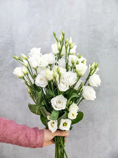 Lisianthus Bouquet, River Pearls, Wedding Flower Inspiration, Flower Bouquet Wedding, Wedding Designs, Bridal Bouquet, Wedding Inspo, Floral Wedding, Flowers Bouquet