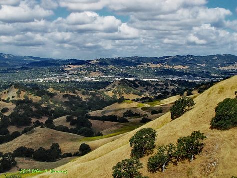 Walnut Creek, fond memories. Walnut Creek California, Nevada Desert, Walnut Creek, Southwest Desert, California Love, California Dreamin', California Homes, City House, Bay Bridge