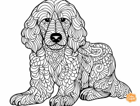 illustration of Charming goldendoodle illustration Dog Coloring Book, Stay Creative, Coloring Page For Adults, Domestic Animals, Printable Coloring Sheets, Color Images, Enjoy Time, Dog Images, Animal Coloring Pages