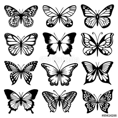 Vector: Butterfly Vector Set فن الرسم بالمسامير, Butterfly Tattoo Stencil, Butterfly Vector, Butterfly Outline, Tato Henna, Kunst Tattoos, Tattoo Templates, Simple Butterfly, Butterfly Tattoos