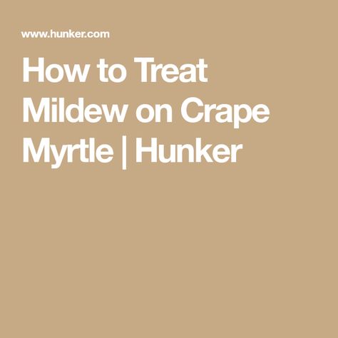 How to Treat Mildew on Crape Myrtle | Hunker Myrtle Tree, Crepe Myrtle, Tree Pruning, Crape Myrtle, Powdery Mildew, Gardening 101, Neem Oil, Garden Tips, New Growth