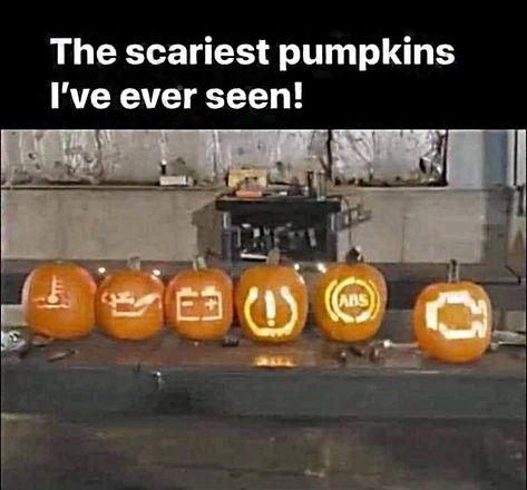 Pumpkin Carving Ideas, Check Engine Light, Amazing Gifs, Weird Gif, Cake Day, Scary Halloween Decorations, Scary Pumpkin, Pumpkin Lights, Carving Ideas