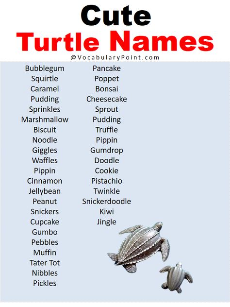 Turtles are fascinating creatures that have been around for millions of years. With their slow and steady pace, they have become a symbol of resilience ... Read more The post Best Turtle Names in English appeared first on Vocabulary Point. Tortoise Name Ideas, Names For Turtles, Pet Turtle Names, Turtle Names Ideas, Ninja Turtles Names, Fish Names, Turtle Names, Land Turtles, Cute Tortoise