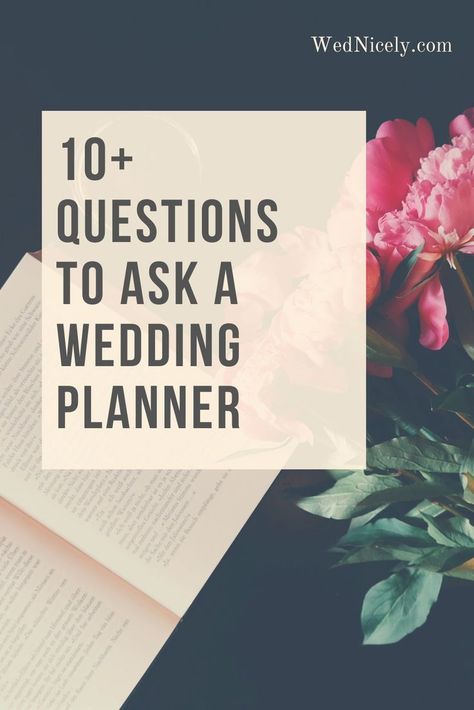 Questions to ask a Wedding Planner Shake Hands, Questions To Ask, A Wedding, Wedding Planner, You Must, Wedding Planning, How To Plan, 10 Things