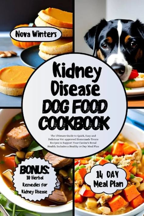 How to Make Kidney Care Dog Food: Easy & Nutritious | by Jean P. Ames | Aug, 2024 | Medium Renal Diet Dog Food Recipes, Kidney Dog Food Recipes, Homemade Dog Food Kidney Diet, Dog Kidney Diet, Homemade Dog Food For Kidney Problems, Dog Food Recipes For Kidney Problems, Dog Renal Diet Recipes, Homemade Kidney Dog Treats, Dog Kidney Diet Recipe