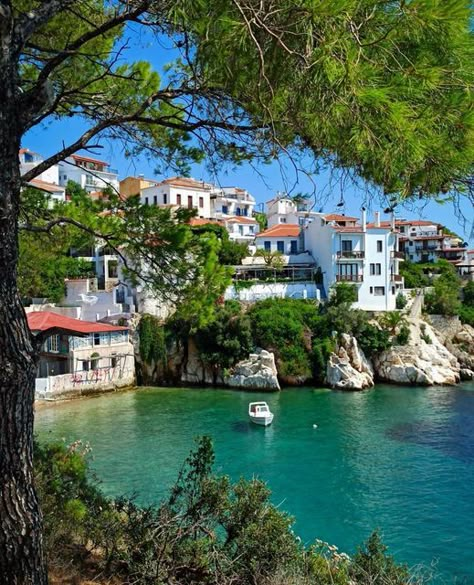 Welcome To Greece 🇬🇷 on Instagram: "Skiathos island, Greece 📸: @greek_horizons #skiathos #greece" Skiathos Island, Skiathos Greece, Greece Landscape, Greek Town, Greece Villa, Greek Vacation, Greece Beach, Greek House, Skiathos