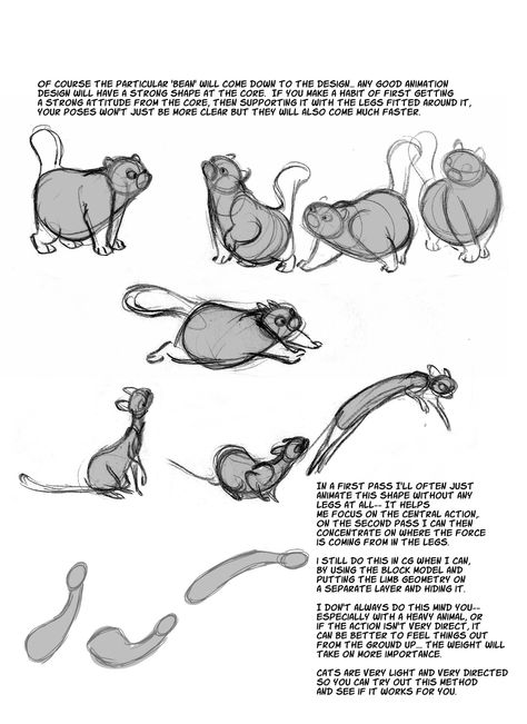 Squirrel Concept Art, Squirrel Drawings, Structure Sketch, Anatomy Notes, Animation Programs, Character Design Cartoon, Grant Wood, Cat Anatomy, Crab Claws