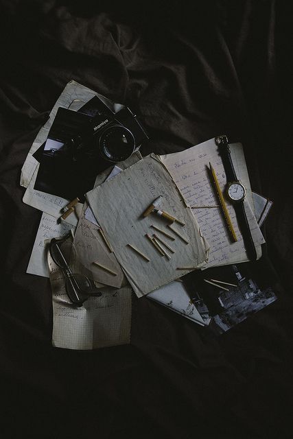 writer aesthetics Grafika Vintage, Detective Aesthetic, Odaiba, Future Jobs, Dark Academia Aesthetic, The Secret History, Academia Aesthetic, + Core + Aesthetic, Laura Lee