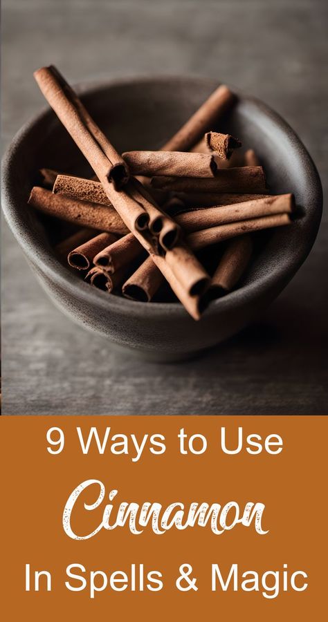 Cinnamon Meaning Witchcraft, Cinnamon Properties, Uses For Cinnamon, Herb Shop, Cinnamon Tea, Romantic Meals, Cinnamon Oil, Cinnamon Essential Oil, Herbal Magic