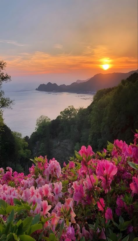 Pretty Landscapes Wallpaper, So Close To What, Pretty Places Wallpaper, Pink Nature Wallpaper, Summer Flower Wallpaper, Vivid Aesthetic, Home Screen Backgrounds, Summer Wallpaper Phone, Flower Wallpaper Pink