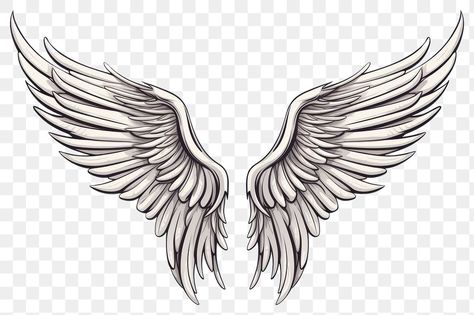 Wings Tattoo Sketch, Sketch Angel, Wing Neck Tattoo, Wing Vector, Simple Bird Tattoo, Angel Wings Drawing, Forearm Band Tattoos, Back Tattoos For Guys, Wings Art