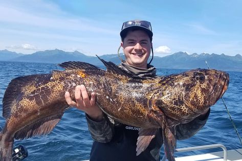 Fishing in Homer: The Ultimate Guide Fishing Salmon, Halibut Fishing, Pacific Salmon, Homer Alaska, Trophy Fish, Alaska Fishing, Cod Fish, Angler Fish, Salmon Fishing