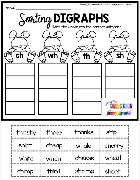 Math Worksheet 1st Grade, First Grade Academic Activities, First Grade Literacy Worksheets, First Grade Group Activities, Printable First Grade Worksheets, Reading And Writing Activities, Free First Grade Worksheets Printables, Fun Worksheets For 1st Grade, Sight Words Worksheets First Grade